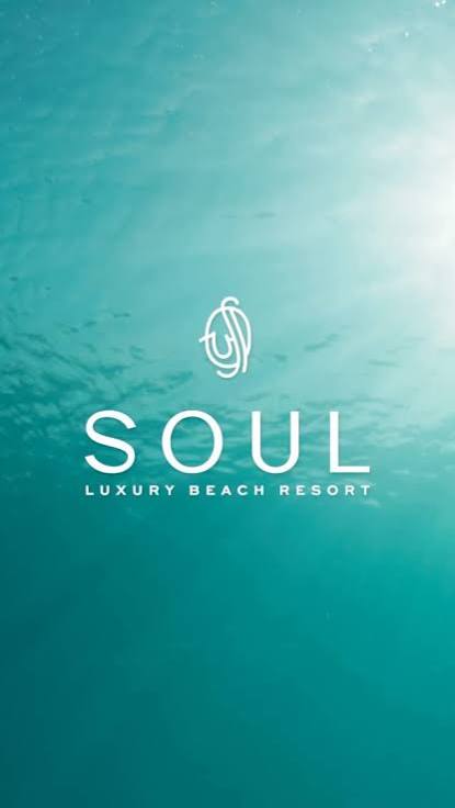 Soul logo